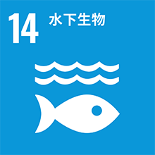 sustainability2-img14.png